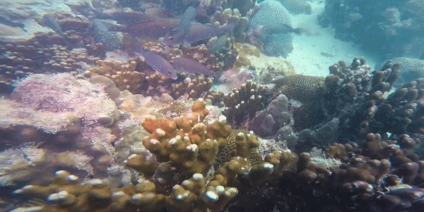 76F283BCBFD13CC261D838058A7_E78C978D_1B0CD